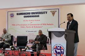 Kamdhenu University Gandhinagar Fest Life photo 7